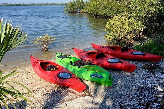 Indian River Lagoon Preserve Kayak Tour - A Deep Dive Into the Experience