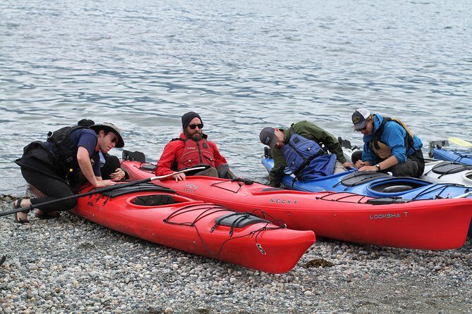 Inside Passage Sea Kayaking in Haines - A Deep Dive into the Kayaking Experience