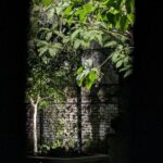 Interactive Paranormal Ghost Walking Tour in Savannah Georgia - Key Points