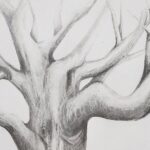 Introduction to Drawing - What to Expect: The Flow of the Class