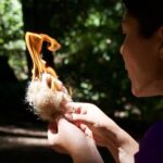 Introduction to Wilderness Survival Clinic in Santa Cruz - The Experience: What Makes It Stand Out?