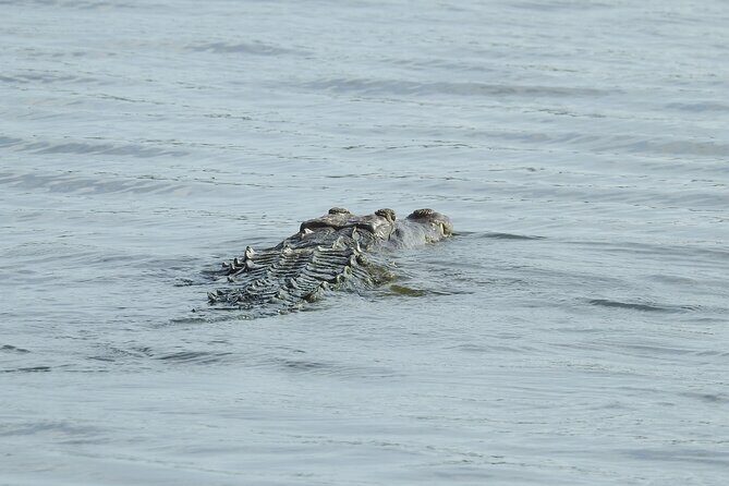 Isla Blanca wildlife expedition private bike & boat tour cancun mexico - The Itinerary Breakdown