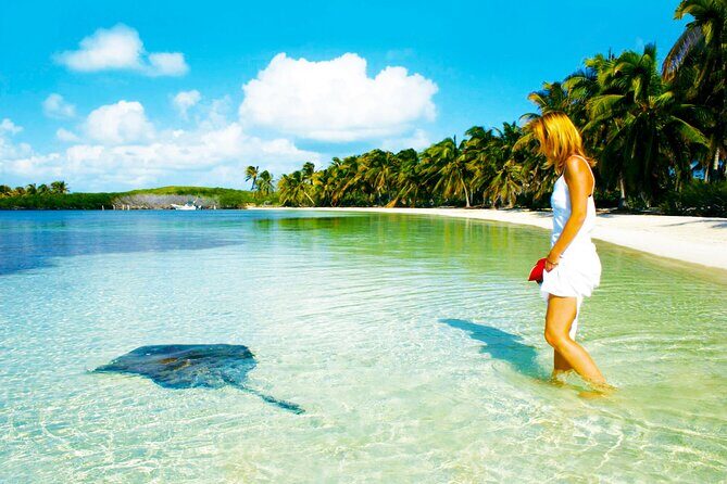 Isla Contoy and Isla Mujeres with All Inclusive Snorkeling - Who Will Love This Tour?