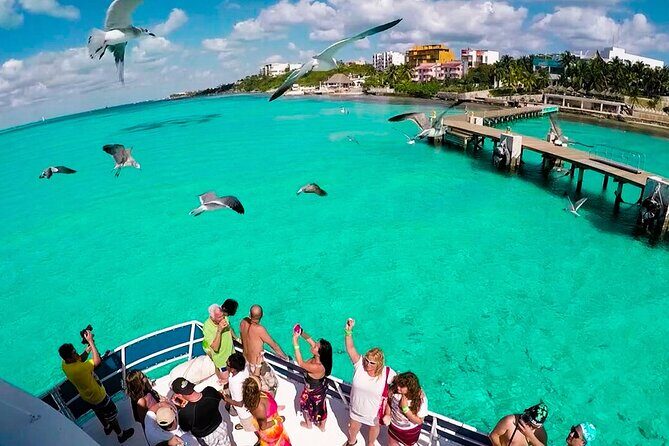 Isla Contoy! Explore a Bird Sanctuary from Cancun - Who Should Consider This Tour?