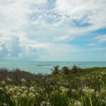 Isla Contoy Snorkeling Experience with Buffet - What’s Included and What’s Not?