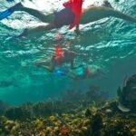 Isla Mujeres All Inclusive from Playa del Carmen - Why This Tour May Be a Great Fit