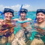 Isla Mujeres Basic Trip with Snorkel and Open Bar - The Itinerary in Detail
