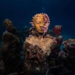 Isla Mujeres: MUSA and the Manchones Reef: 2 Tank Dive Tour - What Makes This Tour Stand Out