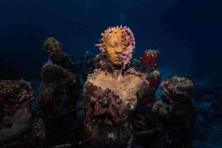 Isla Mujeres: MUSA and the Manchones Reef: 2 Tank Dive Tour - What Makes This Tour Stand Out