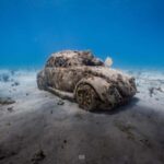 Isla Mujeres - MUSA and the Manchones Reef - Snorkel - The Practical Details