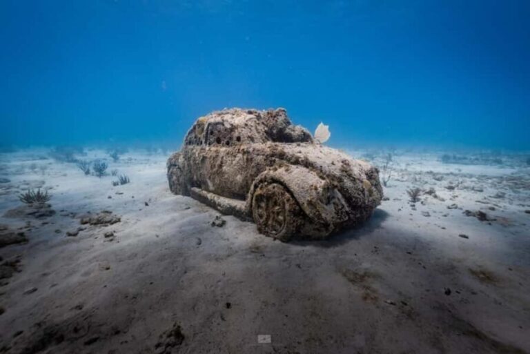 Isla Mujeres - MUSA and the Manchones Reef - Snorkel - The Practical Details