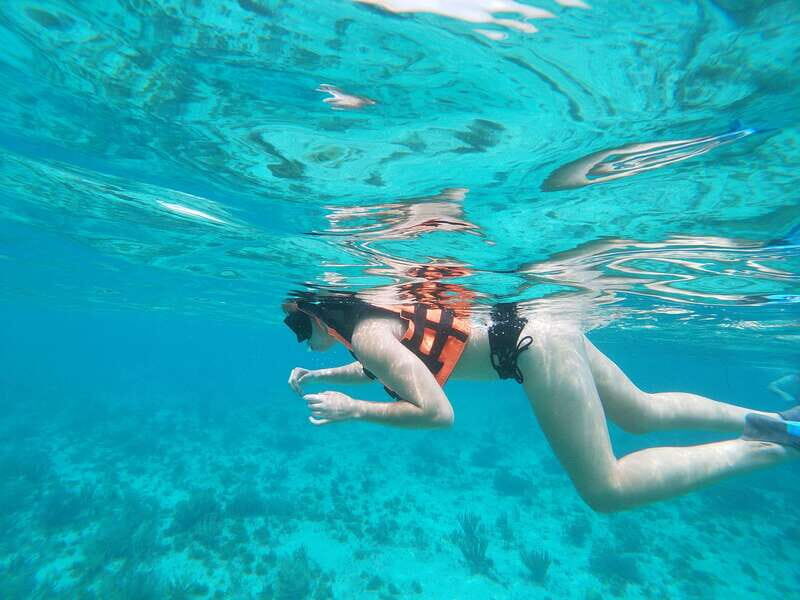 Isla Mujeres: Snorkeling Adventure at the Underwater Museum - The Details of the Isla Mujeres Snorkeling Tour