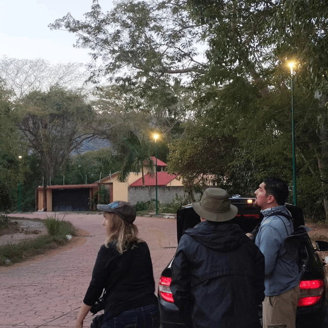 Ixtapa: Bird Watching Tour with Round-Trip Transportation - Comparing With Similar Experiences