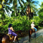 Ixtapa: Horseback Riding Tour Along Playa Larga - The Value of the Tour