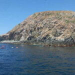 Ixtapa: Marine Life Exploration - What Makes This Tour Stand Out