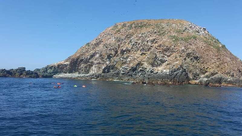 Ixtapa: Marine Life Exploration - What Makes This Tour Stand Out