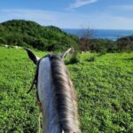 Ixtapa-Zihuatanejo: Horseback Riding Tour - What’s Included & Practical Details