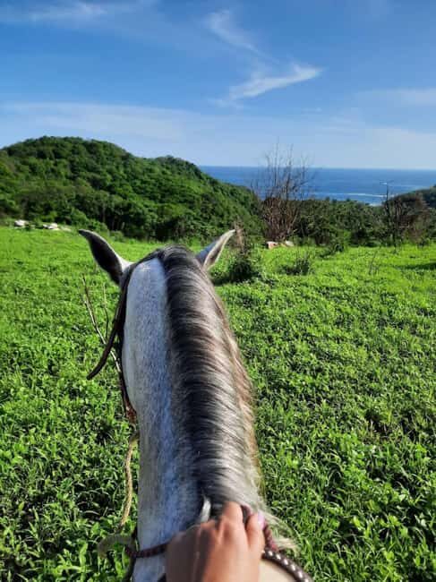 Ixtapa-Zihuatanejo: Horseback Riding Tour - What’s Included & Practical Details