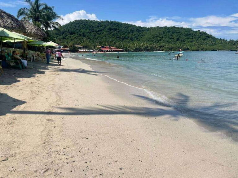 Ixtapa-Zihuatanejo: Island of Ixtapa Day Trip with Lunch - What’s Included and What’s Not