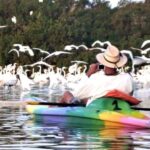 Ixtapa Zihuatanejo: Kayak Tour at Barra de Potosí - What to Expect from the Kayak Tour