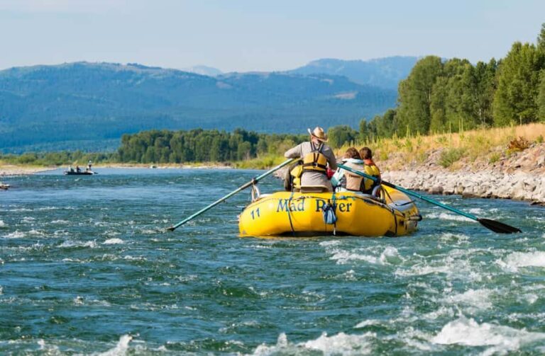 Jackson: 13-Mile Scenic Float with Teton Views - What to Expect During the Tour