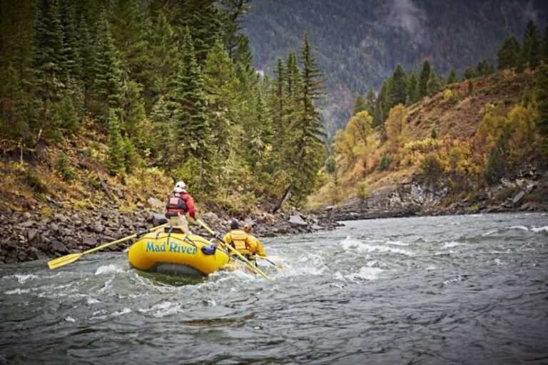 Jackson: 8-Mile Classic Boat Whitewater Rafting Trip - The Long Walk Back and Practical Considerations