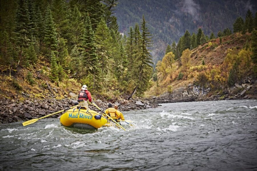 Jackson: 8-Mile Classic Boat Whitewater Rafting Trip - The Long Walk Back and Practical Considerations
