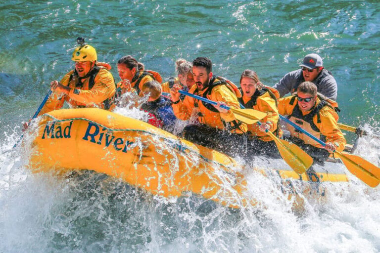 Jackson: 8-Mile Small-Boat Whitewater Rafting Trip - The Scenic and Wildlife Highlights