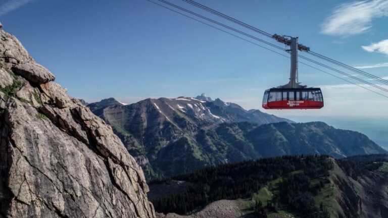 Jackson Hole: Aerial Tram and Gondolas Sightseeing - Who Will Love This Experience?