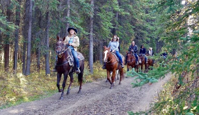 Jackson Hole: Bridger-Teton National Forest Horseback Ride - What to Expect Before You Ride