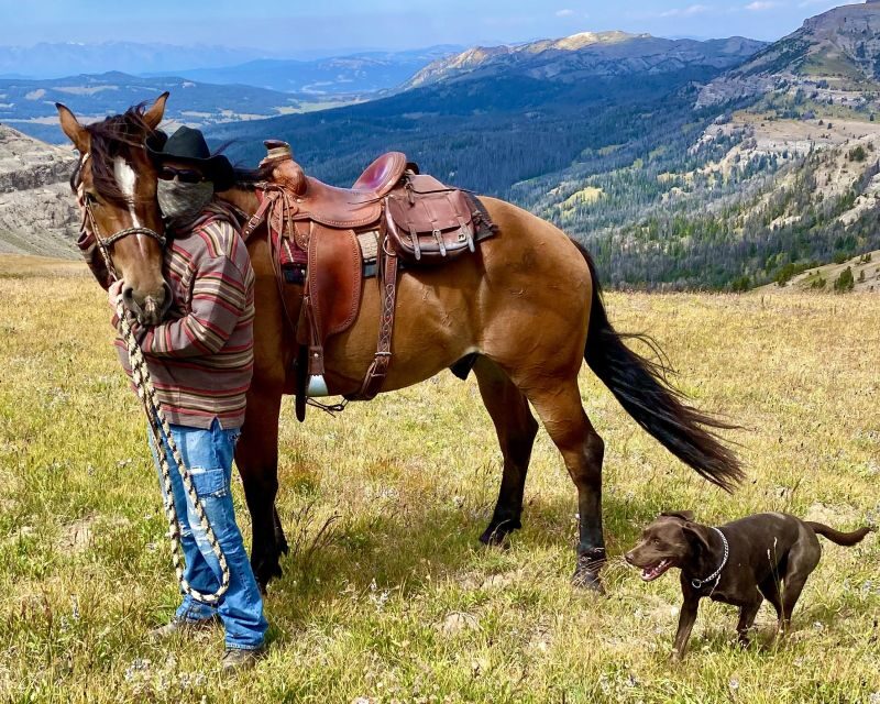 Jackson Hole: Dinner Cookout & Bridger-Teton Horseback Ride - What Reviewers Are Saying