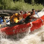 Jackson Hole: Snake River Whitewater Rafting Tour - Why This Tour Is a Great Choice