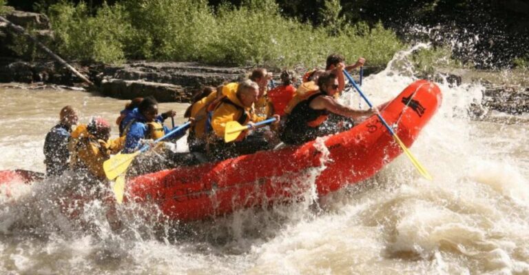Jackson Hole: Snake River Whitewater Rafting Tour - Why This Tour Is a Great Choice