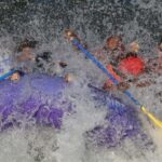 Jackson Hole: Snake River Whitewater, Small Boat Big Thrill - What to Expect on the Tour