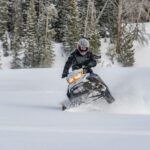 Jackson Hole: Turpin Meadow Snowmobile Tour - The Scenic Highlights
