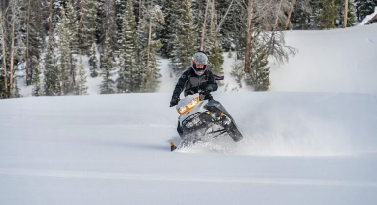 Jackson Hole: Turpin Meadow Snowmobile Tour - The Scenic Highlights