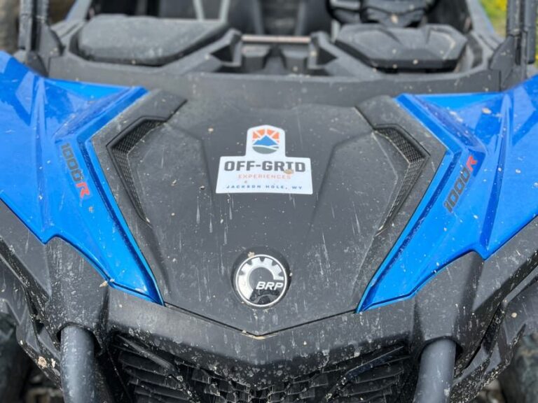 Jackson: Jackson Hole Side-By-Side Off-Roading Rentals - What Trails Will You Explore?