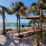 Jaimes at the blue Reef all you can eat + drinks - Frequently Asked Questions