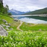 Jasper National Park Self-Guided Driving Audio Tour - Final Thoughts