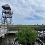 Jeep Tour to Punta Sur Eco Beach Park with Lunch - Whats Included and What to Keep in Mind