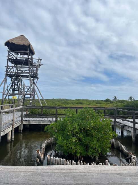 Jeep Tour to Punta Sur Eco Beach Park with Lunch - Whats Included and What to Keep in Mind