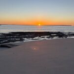 Jervis Bay and Shoalhaven South Coast NSW Private Tours - Iconic Sea Cliff Bridge and Grand Pacific Drive