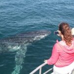 Jervis Bay Whale Watching Tour - Who Would Love This Tour?