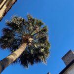 Jewish History Private Walking Tour of Charleston - The Practical Details