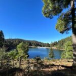 Jilotzingo: Forest Bathing and Temazcal Healing Experience - A Closer Look at the Experience