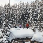 Johnston and Marble Canyon Winter Tour - Who Is This Tour Best For?