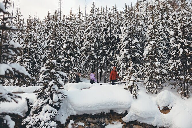 Johnston and Marble Canyon Winter Tour - Who Is This Tour Best For?