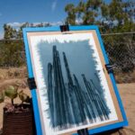 Joshua Tree: Cyanotype Sunprint Workshop - Who Should Consider This Workshop?