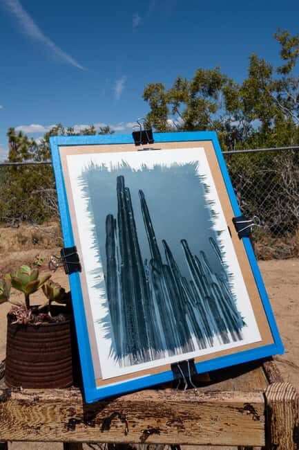 Joshua Tree: Cyanotype Sunprint Workshop - Who Should Consider This Workshop?