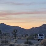 Joshua Tree National Park Driving Tour - Final Thoughts: Is This Tour Right for You?